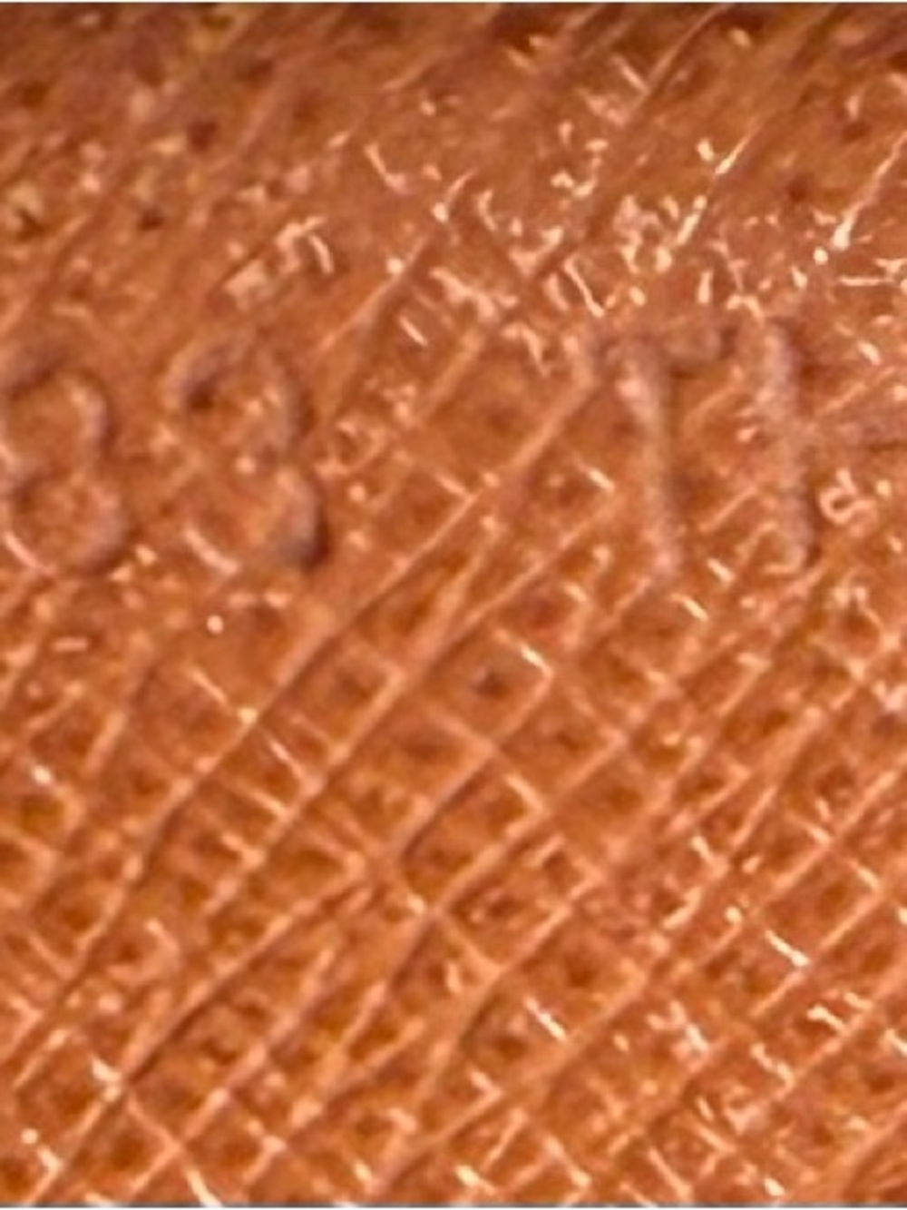 Louis Vuitton Tan Jeune Textured Leather bag - Picture 2 of 13